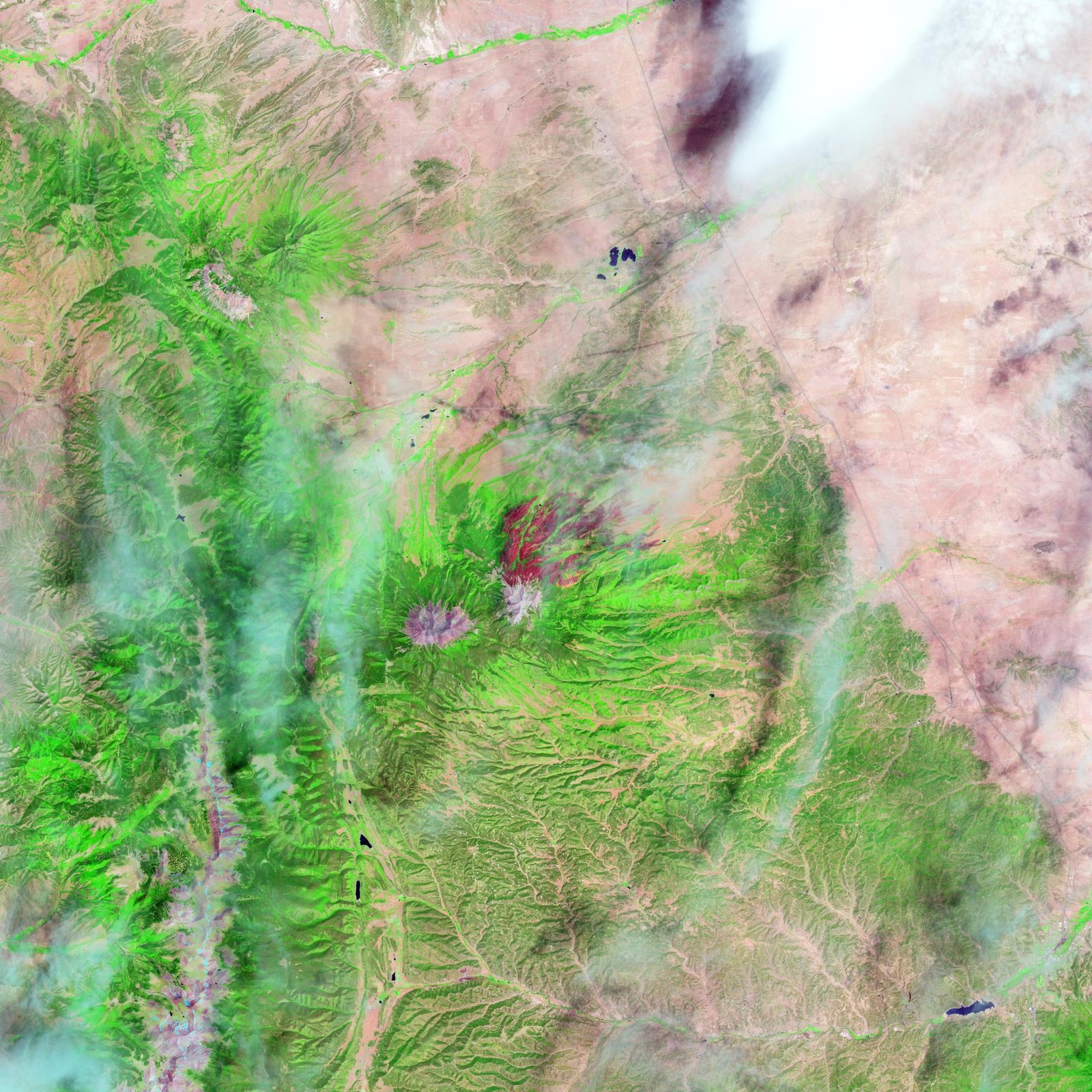 Imagem de satélite em falsa cor do incêndio East Peak no Colorado, com vegetação verde e área queimada avermelhada